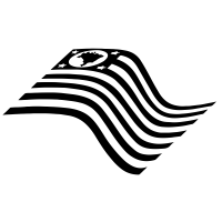 sao paulo flag icons noun project